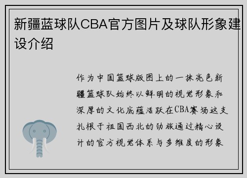 新疆蓝球队CBA官方图片及球队形象建设介绍